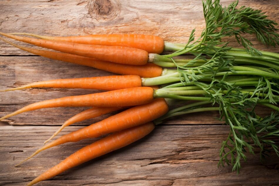 comment congeler une carotte